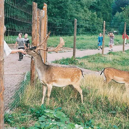 Haus Sonnenhügel Apartment Altenberg (Erzgebirge)