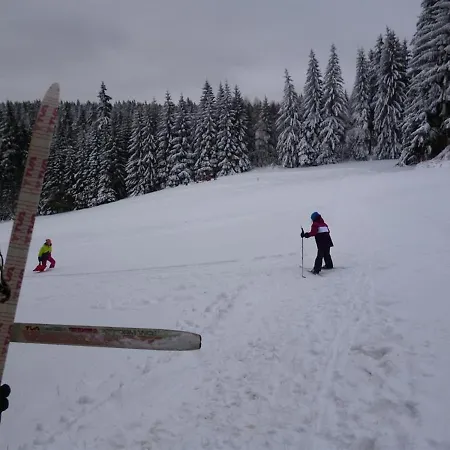 Haus Sonnenhügel * Altenberg (Erzgebirge)